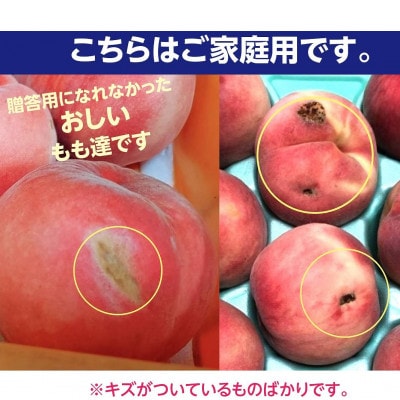 伊達市産 家庭用 桃 約5kg 品種おまかせ(14～23玉)