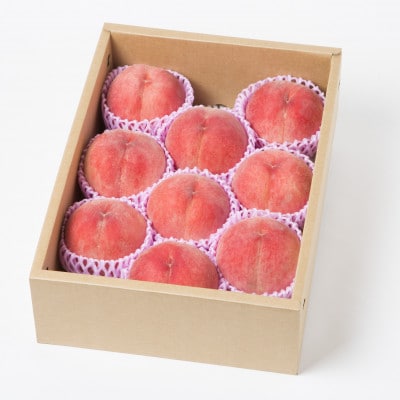 福島県伊達市産 川中島白桃 約3kg(9～12玉)