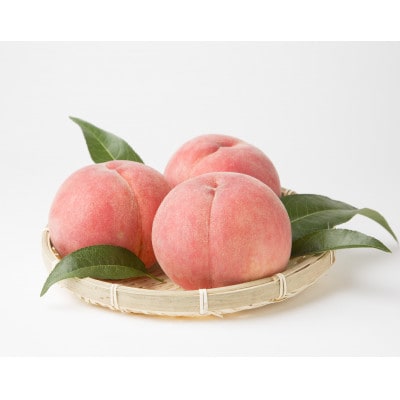 福島県伊達市産 川中島白桃 約3kg(9～12玉)