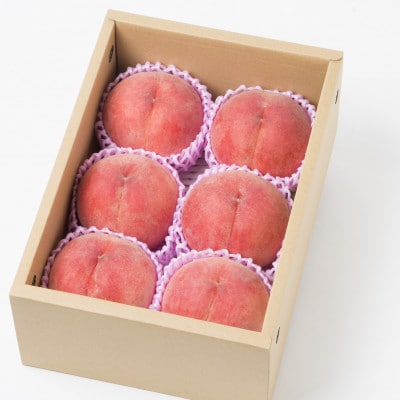 福島県伊達市産 川中島白桃 約2kg(5～8玉)