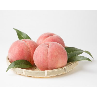 福島県伊達市産 川中島白桃 約2kg(5～8玉)