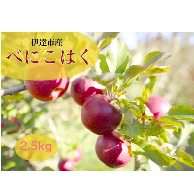 べにこはく 伊達市産りんご 2.5kg