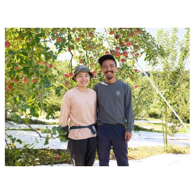 べにこはく 伊達市産りんご 2.5kg