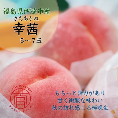 伊達市産　桃　幸茜　5～7玉