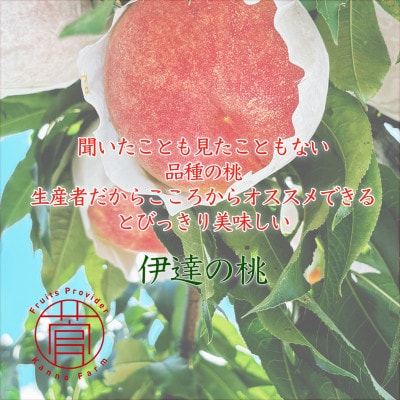 伊達市産　桃　幸茜　5～7玉