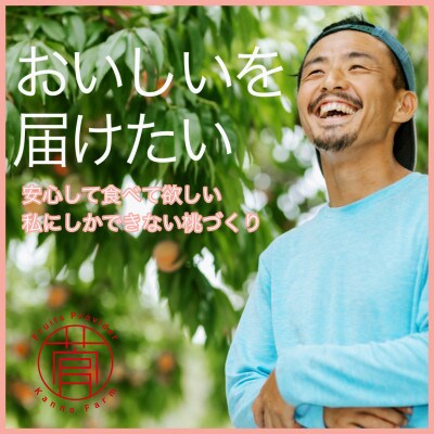 伊達市産　桃　幸茜　5～7玉