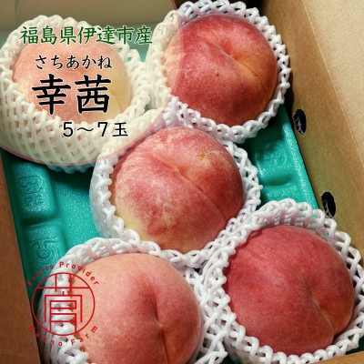 伊達市産　桃　幸茜　5～7玉