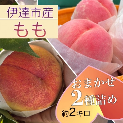 福島県伊達市産 桃 2種詰め 計約2kg 9～5玉