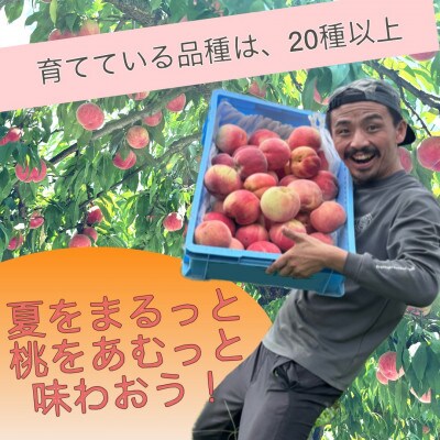 福島県伊達市産 桃 2種詰め 計約2kg 9～5玉