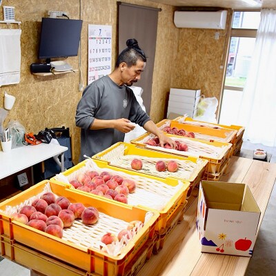 福島県伊達市産 桃 2種詰め 計約2kg 9～5玉