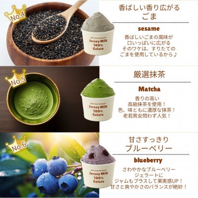自社牧場直営ジャージーアイスクリーム人気6種各1個　計6個の王道セット