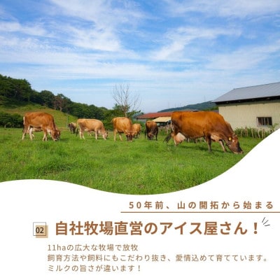 自社牧場直営ジャージーアイスクリーム人気12種各1個　計12個のセット