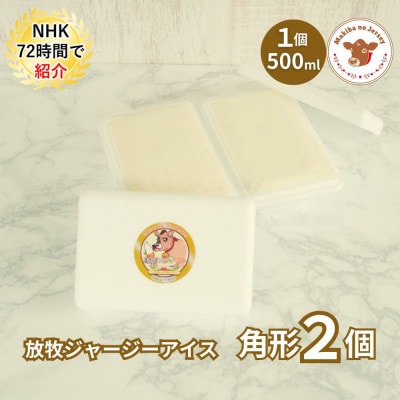 自社牧場直営ジャージーアイスクリーム角形パック　ミルク2個セット