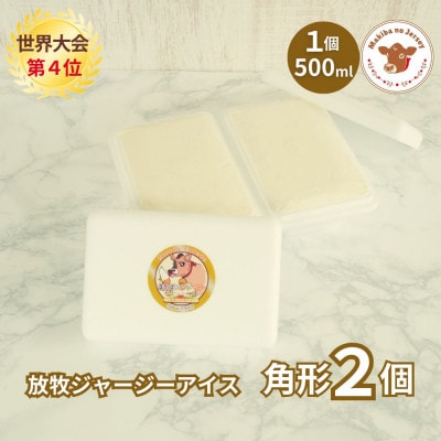 自社牧場直営ジャージーアイスクリーム角形パック　ミルク2個セット