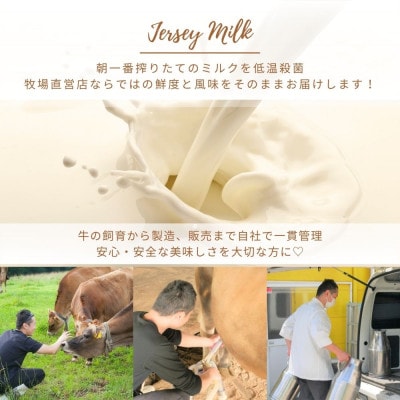 自社牧場直営ジャージーアイスクリーム角形パック　ミルク2個セット