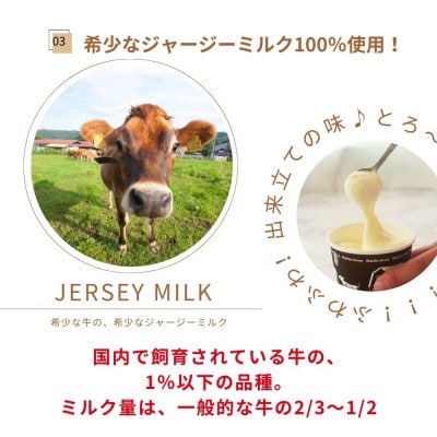 自社牧場直営ジャージーアイスクリーム角形パック　ミルク2個セット