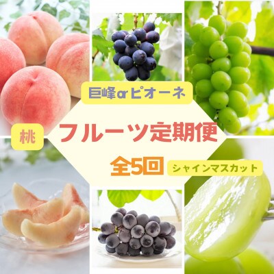 【定期便】伊達なフルーツ定期便(もも3種×2kg・ぶどう2種)全5回