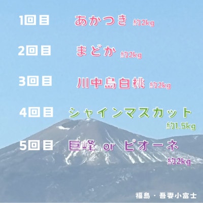 【定期便】伊達なフルーツ定期便(もも3種×2kg・ぶどう2種)全5回