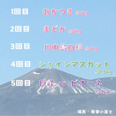 【定期便】伊達なフルーツ定期便(もも3種×5kg・ぶどう2種)全5回