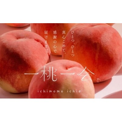 【定期便】福島の桃 3回桃が届く!伊達な桃3種の定期便 計6kg全3回