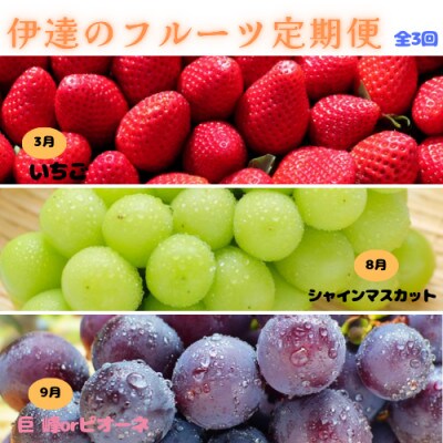 【発送月固定定期便】【2025年3月から発送】伊達なフルーツ定期便(いちご・ぶどう2種)　全3回