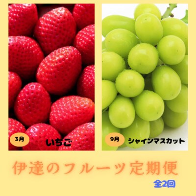 【発送月固定定期便】伊達のフルーツ 2種 お届け便　いちご・シャインマスカット全2回