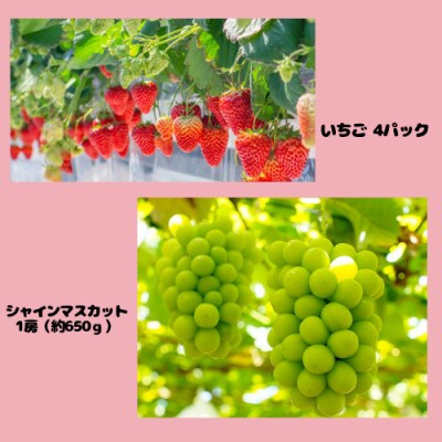 【発送月固定定期便】伊達のフルーツ 2種 お届け便　いちご・シャインマスカット全2回