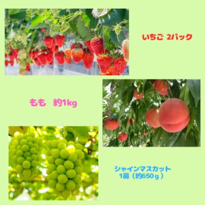 【発送月固定定期便】伊達のフルーツ 3種 お届け便　いちごとももとシャインマスカット全3回