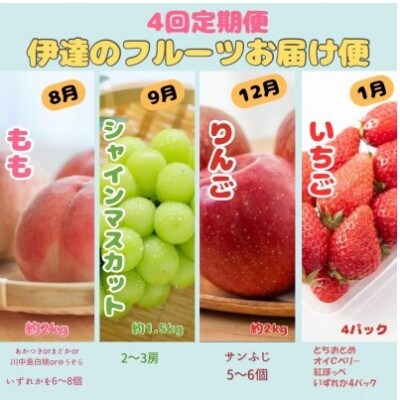 【発送月固定定期便】伊達のフルーツ 4種 お届け便もも・シャイマスカット・りんご・いちご　大全4回