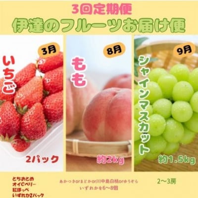 【発送月固定定期便】伊達のフルーツ3種いちごともも(2kg)とシャインマスカット(1.5kg)全3回