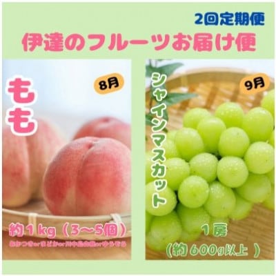 【発送月固定定期便】伊達のフルーツ2種お届け便もも・シャインマスカット全2回