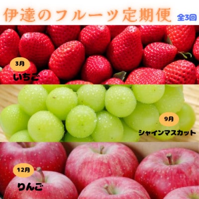 【発送月固定定期便】伊達のフルーツ 3種お届け便　いちご・シャイマスカット・りんご全3回