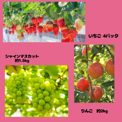 【発送月固定定期便】伊達のフルーツ 3種お届け便　いちご・シャイマスカット・りんご全3回