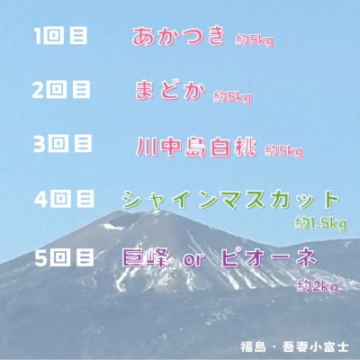 【2週間毎定期便】伊達なフルーツ定期便(もも3種×5kg・ぶどう2種)全5回