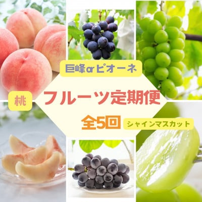 【2週間毎定期便】伊達なフルーツ定期便(もも3種×3kg・ぶどう2種)全5回