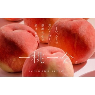 【2週間毎定期便】伊達なフルーツ定期便(もも3種×2kg・ぶどう2種)全5回