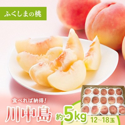 福島県伊達市産　桃(川中島)約5kg