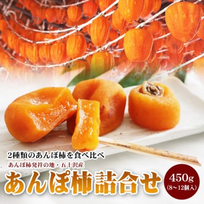 福島県伊達市 五十沢産 あんぽ柿 詰め合わせ (はちや柿・ひらたね柿) 450g (8～12個入)