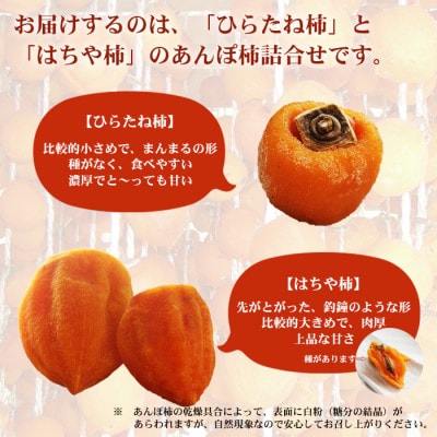 福島県伊達市 五十沢産 あんぽ柿 詰め合わせ (はちや柿・ひらたね柿) 450g (8～12個入)