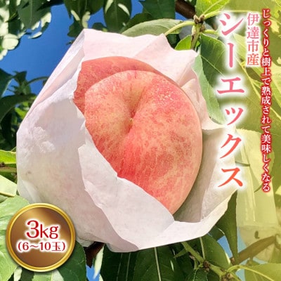 先行予約 福島の桃 シーエックス 3kg(6～10玉) 【あかい果樹園】 F20C-444