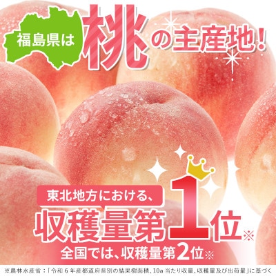先行予約 福島の桃 シーエックス 3kg(6～10玉) 【あかい果樹園】 F20C-444