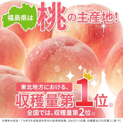 先行予約 福島の桃 まどか 2kg(5～10玉) 【あかい果樹園】 F20C-504