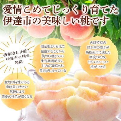 先行予約 福島の桃 かぐや 3kg(8～10玉) 【あかい果樹園】 F20C-732