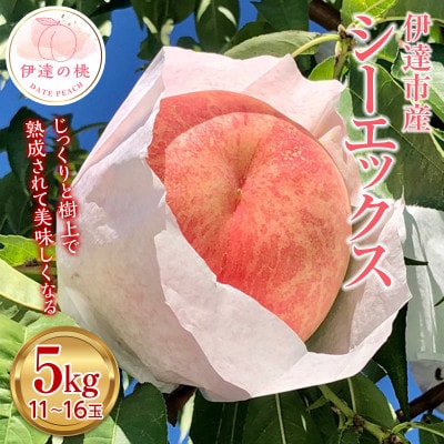 先行予約 福島の桃 シーエックス 5kg(11～16玉) 【あかい果樹園】 F20C-908