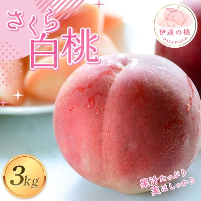 先行予約 福島の桃 さくら白桃 3kg(6～11玉) 【あかい果樹園】 F20C-912