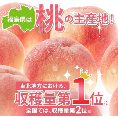 先行予約 福島の桃 日川白鳳 2kg(6～10玉)【あかい果樹園】 F20C-447