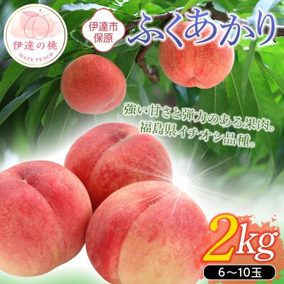 先行予約 福島の桃 ふくあかり 2kg(6～10玉) 【あかい果樹園】 F20C-505