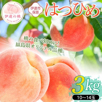 先行予約 福島の桃 はつひめ 3kg(10～14玉) 【あかい果樹園】 F20C-902