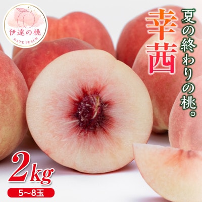 《先行予約》 福島の桃 夏の終わりの桃 幸茜 2kg(5～8玉) 【斎藤果樹園】 F20C-635