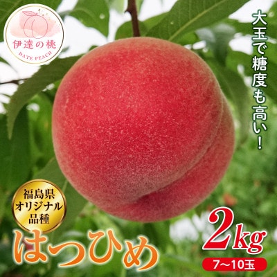 《先行予約》 福島の桃 はつひめ 2kg(7～10玉) 【斎藤果樹園】 F20C-371